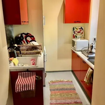 Vintage Studio Apartment, Garden And Free Parking * Budapest