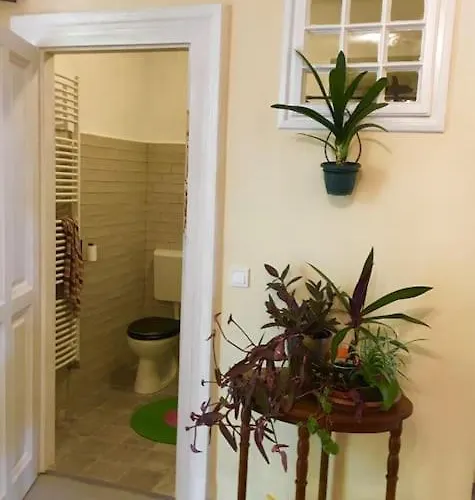 Vintage Studio Apartment, Garden And Free Parking Budapesta