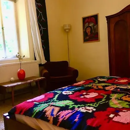 Apartment Vintage Studio Apartment, Garden And Free Parking Budapest