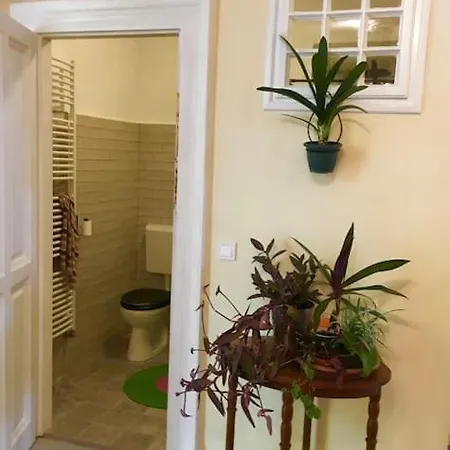 Vintage Studio Apartment, Garden And Free Parking Budapest